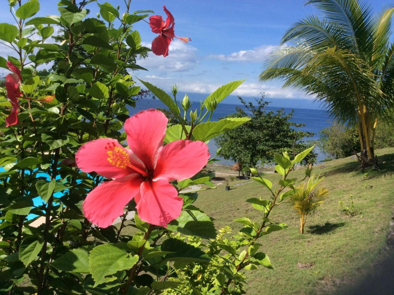 Cuestas Beach Resort And Restaurant Badian Eksteriør billede